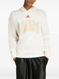 adidas Stadium graphic hoodie