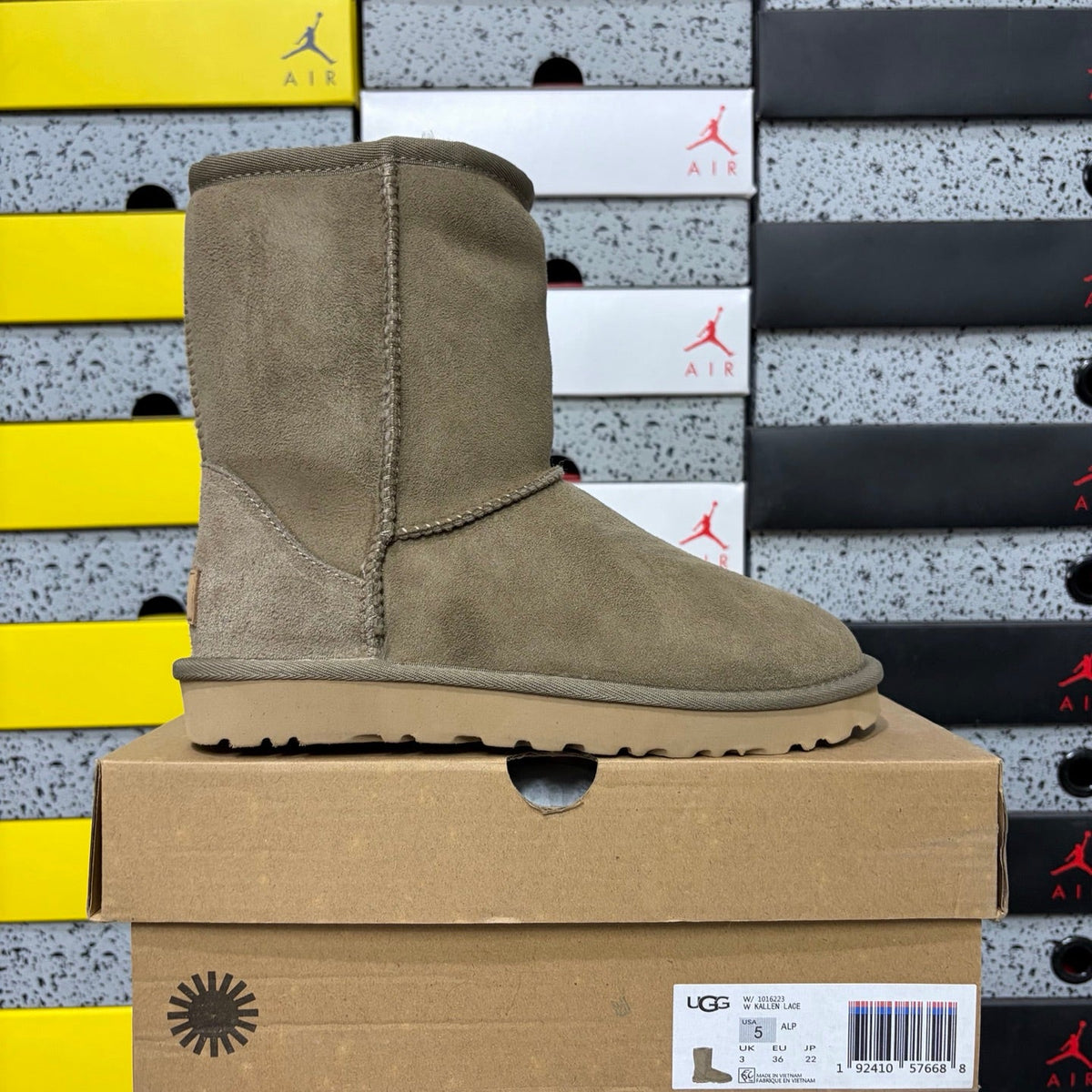 UGG Kallen Lace Classic Short Boot – Suede Boot with Shearling Lining, Tonal Back Seam & Classic Sunburst Sole in Alpine